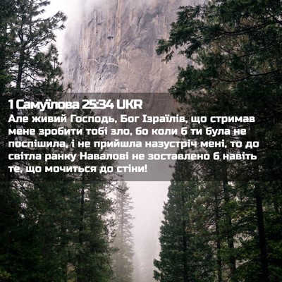 Picture 02 - 1 Самуїлова 25:34 UKR - Але живий Господь, Бог - Bible Verse Picture