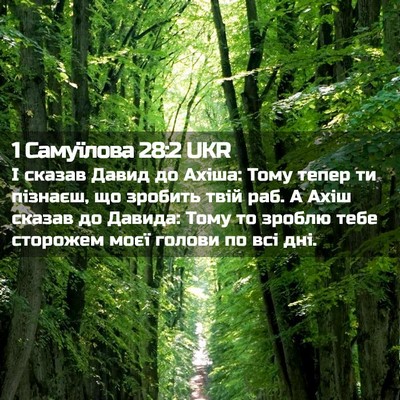 Picture 02 - 1 Самуїлова 28:2 UKR - І сказав Давид до Ахіша: - Bible Verse Picture