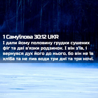 Picture 02 - 1 Самуїлова 30:12 UKR - І дали йому половину - Bible Verse Picture