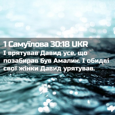 Picture 02 - 1 Самуїлова 30:18 UKR - І врятував Давид усе, що - Bible Verse Picture