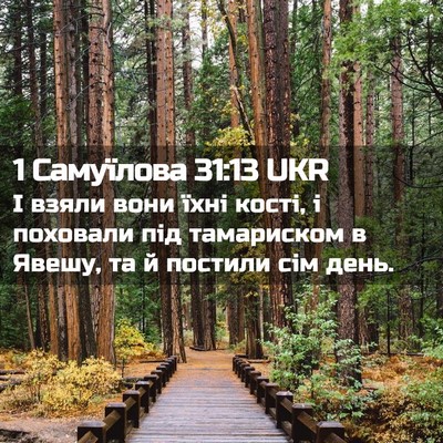 Picture 02 - 1 Самуїлова 31:13 UKR - І взяли вони їхні кості, і - Bible Verse Picture