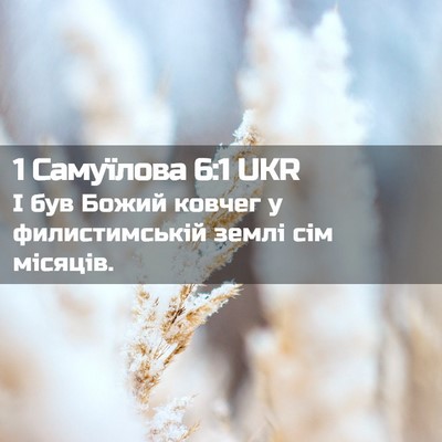 Picture 02 - 1 Самуїлова 6:1 UKR - І був Божий ковчег у - Bible Verse Picture