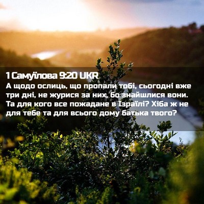 Picture 02 - 1 Самуїлова 9:20 UKR - А щодо ослиць, що пропали - Bible Verse Picture