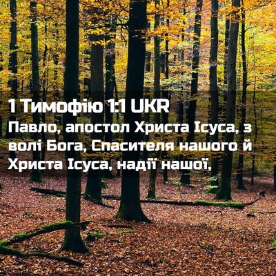 Picture 02 - 1 Тимофію 1:1 UKR - Павло, апостол Христа - Bible Verse Picture