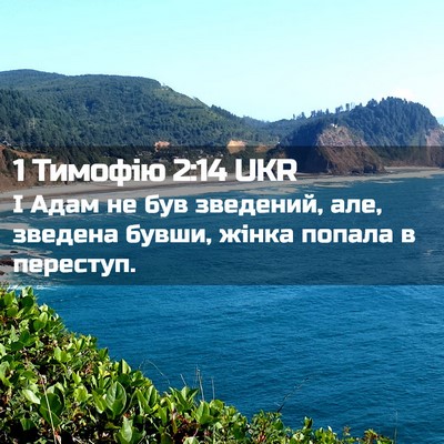 Picture 02 - 1 Тимофію 2:14 UKR - І Адам не був зведений, але, - Bible Verse Picture
