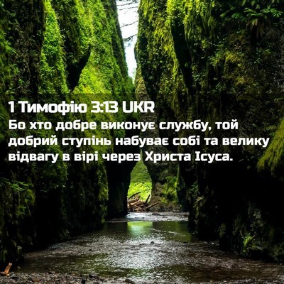 Picture 02 - 1 Тимофію 3:13 UKR - Бо хто добре виконує - Bible Verse Picture