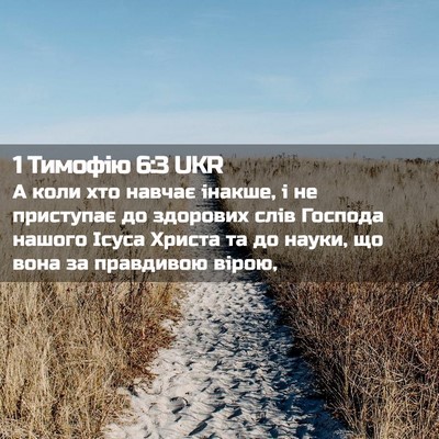 Picture 02 - 1 Тимофію 6:3 UKR - А коли хто навчає інакше, і - Bible Verse Picture