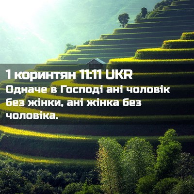 Picture 02 - 1 коринтян 11:11 UKR - Одначе в Господі ані - Bible Verse Picture