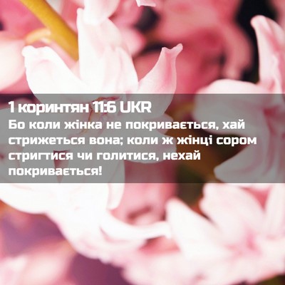 Picture 02 - 1 коринтян 11:6 UKR - Бо коли жінка не - Bible Verse Picture
