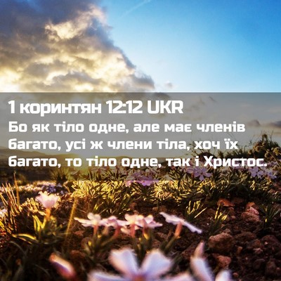 Picture 02 - 1 коринтян 12:12 UKR - Бо як тіло одне, але має - Bible Verse Picture