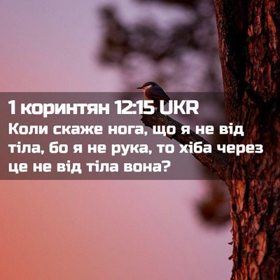Picture 02 - 1 коринтян 12:15 UKR - Коли скаже нога, що я не від - Bible Verse Picture