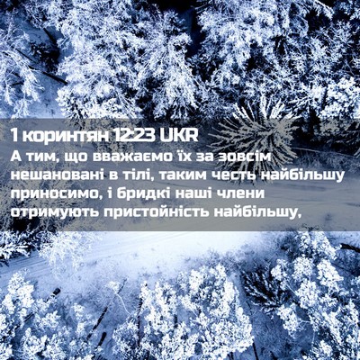Picture 02 - 1 коринтян 12:23 UKR - А тим, що вважаємо їх за - Bible Verse Picture