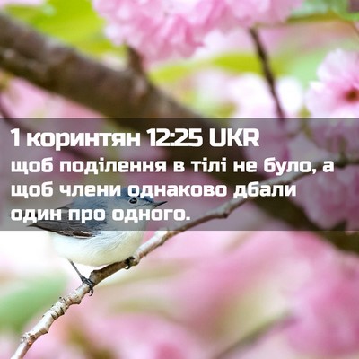 Picture 02 - 1 коринтян 12:25 UKR - щоб поділення в тілі не - Bible Verse Picture