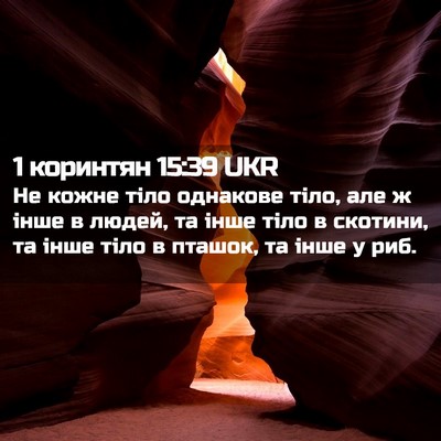 Picture 02 - 1 коринтян 15:39 UKR - Не кожне тіло однакове - Bible Verse Picture