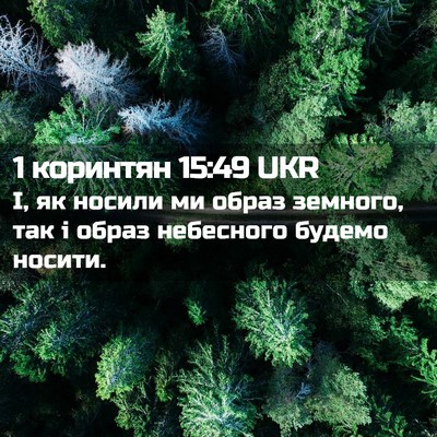 Picture 02 - 1 коринтян 15:49 UKR - І, як носили ми образ - Bible Verse Picture