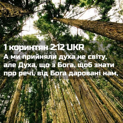 Picture 02 - 1 коринтян 2:12 UKR - А ми прийняли духа не - Bible Verse Picture
