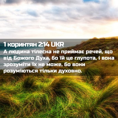 Picture 02 - 1 коринтян 2:14 UKR - А людина тілесна не - Bible Verse Picture
