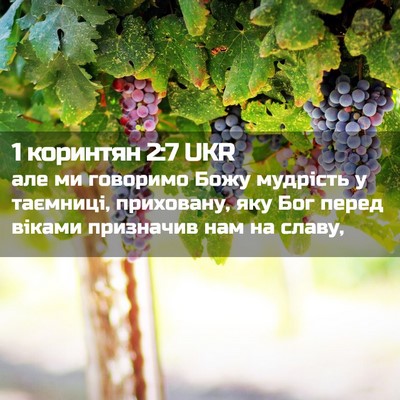 Picture 02 - 1 коринтян 2:7 UKR - але ми говоримо Божу - Bible Verse Picture