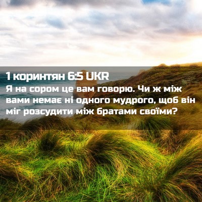Picture 02 - 1 коринтян 6:5 UKR - Я на сором це вам говорю. Чи - Bible Verse Picture