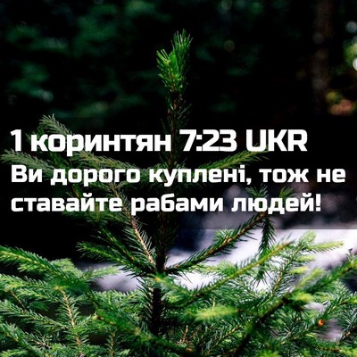 Picture 02 - 1 коринтян 7:23 UKR - Ви дорого куплені, тож не - Bible Verse Picture