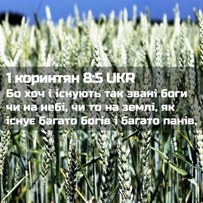 Picture 02 - 1 коринтян 8:5 UKR - Бо хоч і існують так звані - Bible Verse Picture