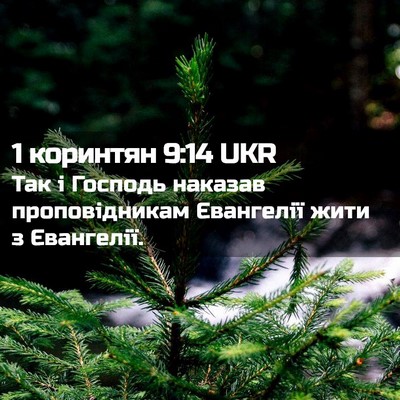 Picture 02 - 1 коринтян 9:14 UKR - Так і Господь наказав - Bible Verse Picture