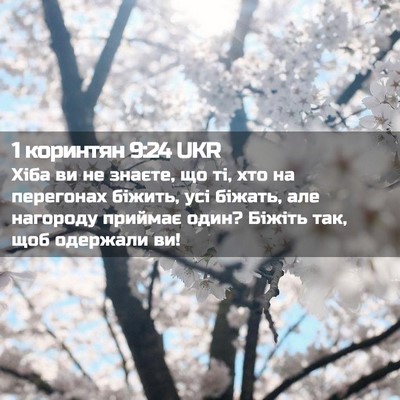 Picture 02 - 1 коринтян 9:24 UKR - Хіба ви не знаєте, що ті, - Bible Verse Picture