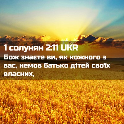 Picture 02 - 1 солунян 2:11 UKR - Бож знаєте ви, як кожного з - Bible Verse Picture