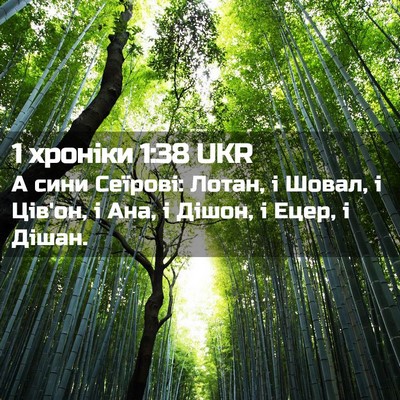 Picture 02 - 1 хроніки 1:38 UKR - А сини Сеїрові: Лотан, і - Bible Verse Picture