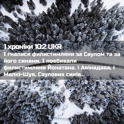Picture 02 - 1 хроніки 10:2 UKR - І гналися филистимляни за - Bible Verse Picture