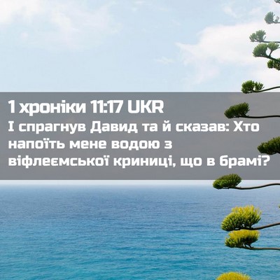 Picture 02 - 1 хроніки 11:17 UKR - І спрагнув Давид та й - Bible Verse Picture