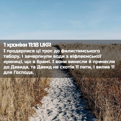 Picture 02 - 1 хроніки 11:18 UKR - І продерлися ці троє до - Bible Verse Picture
