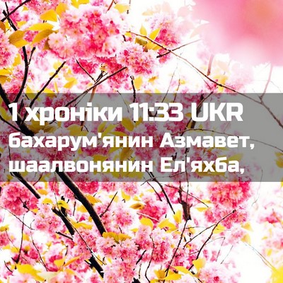 Picture 02 - 1 хроніки 11:33 UKR - бахарум'янин Азмавет, - Bible Verse Picture