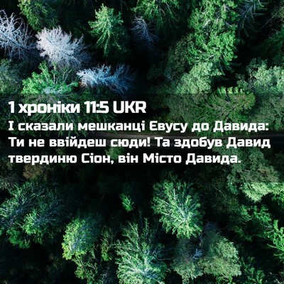 Picture 02 - 1 хроніки 11:5 UKR - І сказали мешканці Євусу - Bible Verse Picture