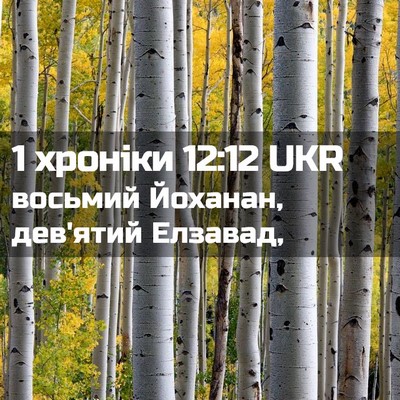 Picture 02 - 1 хроніки 12:12 UKR - восьмий Йоханан, дев'ятий - Bible Verse Picture