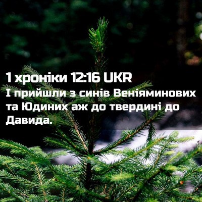 Picture 02 - 1 хроніки 12:16 UKR - І прийшли з синів - Bible Verse Picture