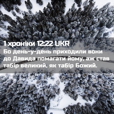 Picture 02 - 1 хроніки 12:22 UKR - Бо день-у-день приходили - Bible Verse Picture