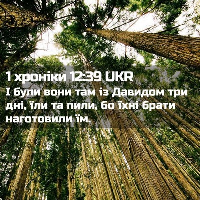 Picture 02 - 1 хроніки 12:39 UKR - І були вони там із Давидом - Bible Verse Picture