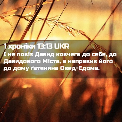 Picture 02 - 1 хроніки 13:13 UKR - І не повіз Давид ковчега до - Bible Verse Picture