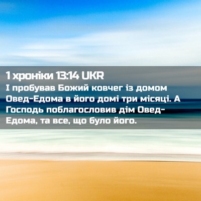Picture 02 - 1 хроніки 13:14 UKR - І пробував Божий ковчег із - Bible Verse Picture