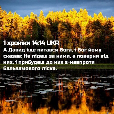 Picture 02 - 1 хроніки 14:14 UKR - А Давид іще питався Бога, і - Bible Verse Picture