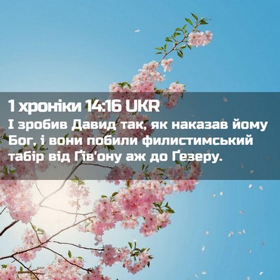 Picture 02 - 1 хроніки 14:16 UKR - І зробив Давид так, як - Bible Verse Picture