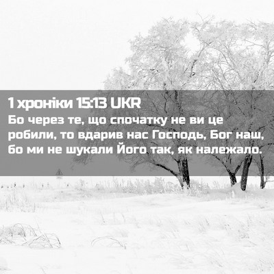 Picture 02 - 1 хроніки 15:13 UKR - Бо через те, що спочатку не - Bible Verse Picture