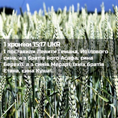 Picture 02 - 1 хроніки 15:17 UKR - І поставили Левити Гемана, - Bible Verse Picture
