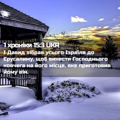 Picture 02 - 1 хроніки 15:3 UKR - І Давид зібрав усього - Bible Verse Picture