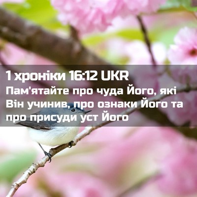 Picture 02 - 1 хроніки 16:12 UKR - Пам'ятайте про чуда Його, - Bible Verse Picture
