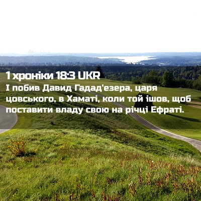 Picture 02 - 1 хроніки 18:3 UKR - І побив Давид Гадад'езера, - Bible Verse Picture