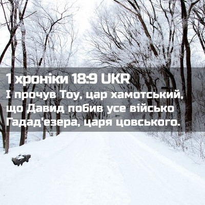 Picture 02 - 1 хроніки 18:9 UKR - І прочув Тоу, цар - Bible Verse Picture