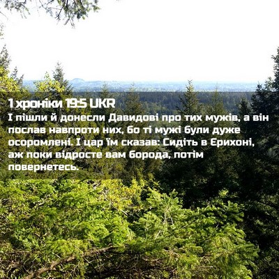 Picture 02 - 1 хроніки 19:5 UKR - І пішли й донесли Давидові - Bible Verse Picture