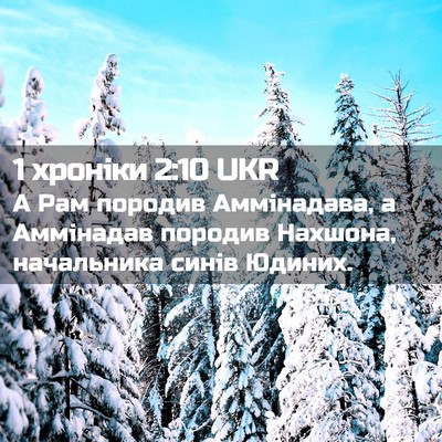 Picture 02 - 1 хроніки 2:10 UKR - А Рам породив Аммінадава, а - Bible Verse Picture